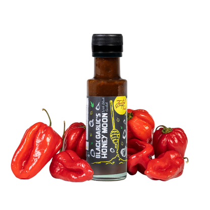 Black Garlic's Honeymoon